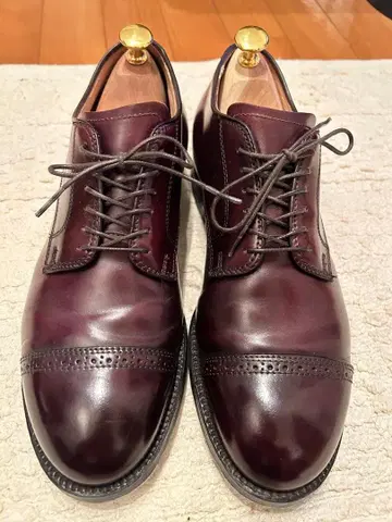 [ 새상품급 ] 알든 56201 7.5D 쉘 코도반