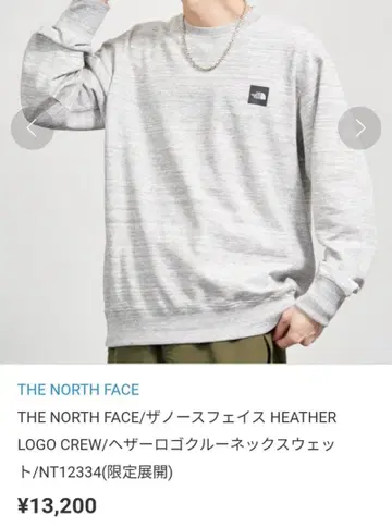 THE NORTH FACE 헤더 로고 크루넥 맨투맨 XL