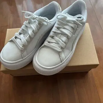 PUMA 스니커즈 통굽 플랫폼 24cm