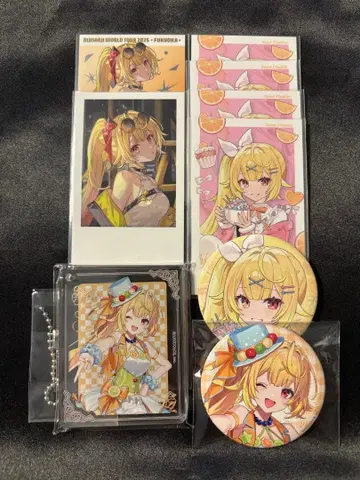 [ 익명 배송/추적 ] 호시카와 사라 캔뱃지 코롯타 폴라로이드