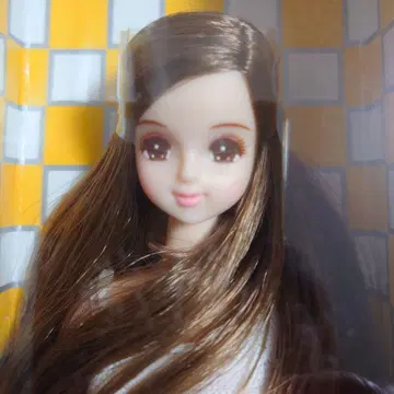 리카짱 캐슬 제니 뉴제니