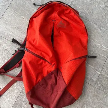그레고리 백팩 빨간색