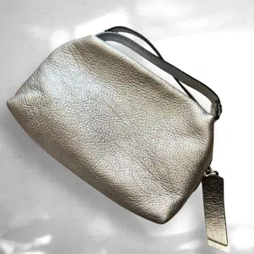 지아니카리니 실버 백