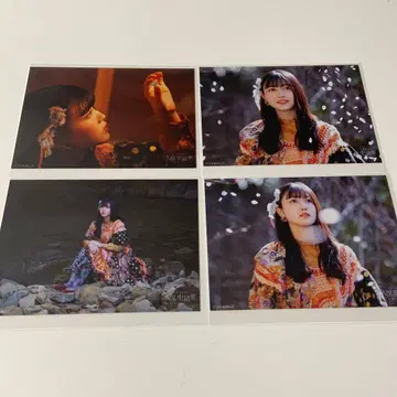 노기자카46 쿠보 시오리 졸업 콘서트 브로마이드