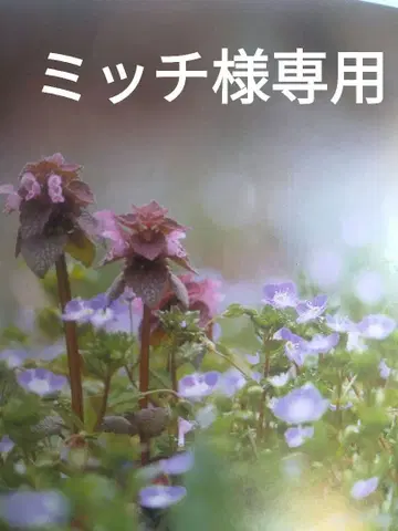 기모노 리메이크 스카잔