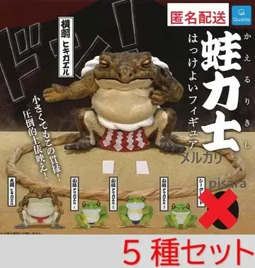 개구리 씨름꾼 핫케요이 피규어 5종 노멀 컴프 가챠