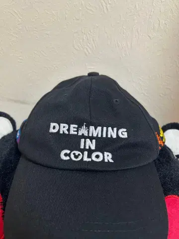 도쿄 디즈니 리조트 캡