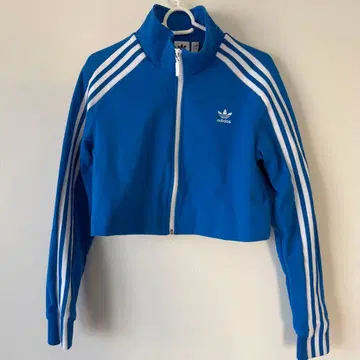 아디다스 파랑 크롭 저지 아디다스