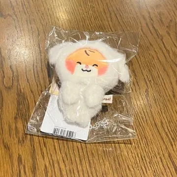 zeroni 비니니 마그넷 사진 홀더 binini 한빈 제로니