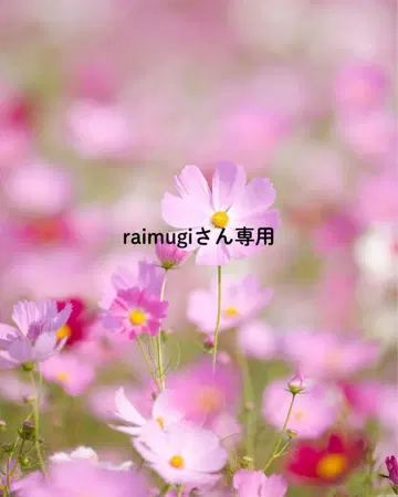 raimugi님 2점 묶음