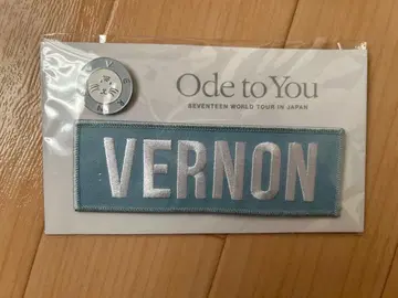 seventeen 세븐틴 버논 네임 와펜 핀 배지