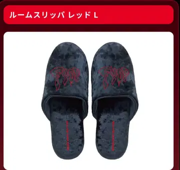 B'z FYOP2025 슬리퍼 L