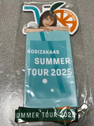 노기자카46 야타 모에카 개별 티켓 홀더