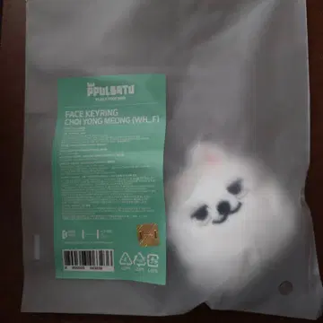 TXT 공식 PPULBATU 용몽 페이스 키링 수빈