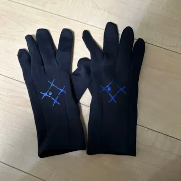 soundsports glove 사운드 스포츠