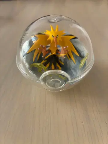 포켓몬 테라리움 컬렉션 3 썬더