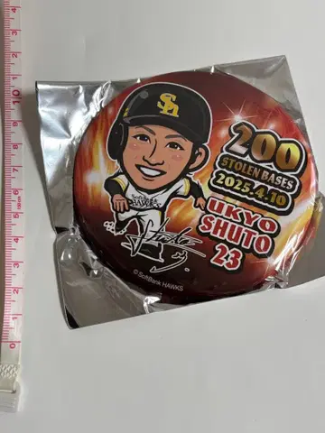 소프트뱅크 호크스 슈토 유쿄 와카타카 빅 캔뱃지