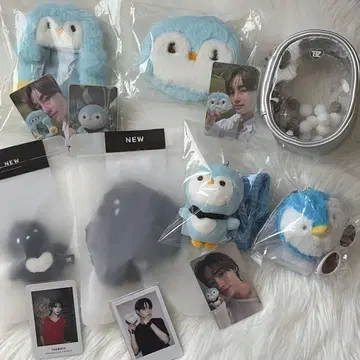 theboyz 뉴 봉제 인형 트레이딩 카드 케이스 응원봉 스크런치 파우치