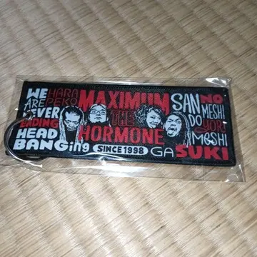 맥시멈 더 호르몬 플라이트 택 MTH U.S.POP