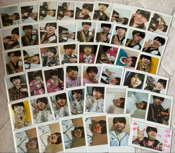 팬더 드래곤 파라곤 나기 폴라로이드