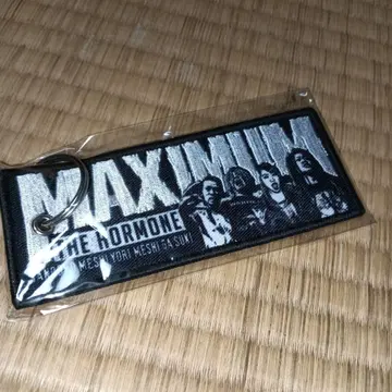 맥시멈 더 호르몬 M.T.F.H. 플라이트 택/키링