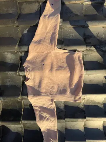 Champion 베이지 크루넥 맨투맨