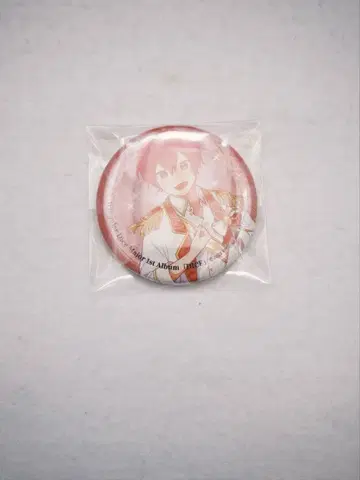 이레이스 나이코 1st 앨범 특전 캔 배지