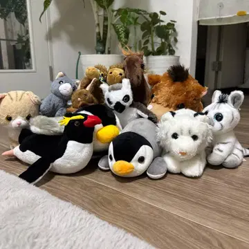 동물 봉제 인형 세트