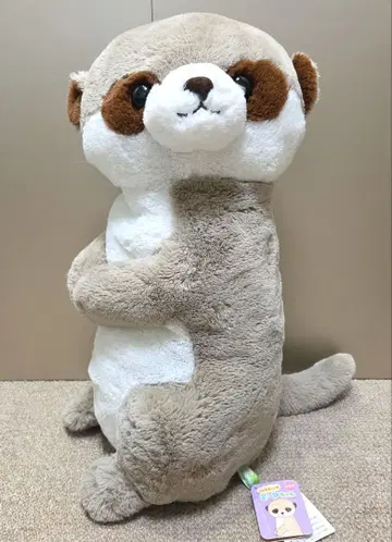 [ 새상품 ] 이쪽을 봐 미아 봉제 인형