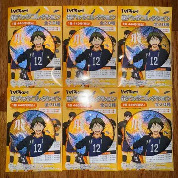 하이큐 현수막 글리터 캔뱃지 야마구치 타다시 6