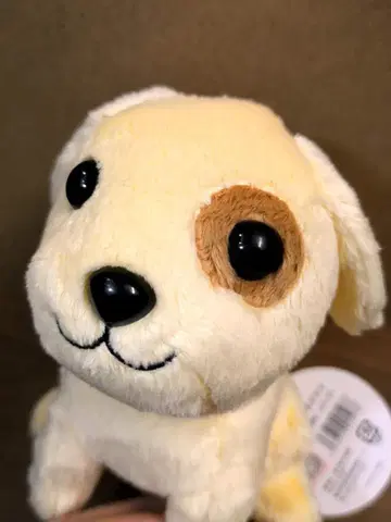 종이 택 포함 후지TV 오늘의 강아지 앉아 봉제 인형 공식 굿즈