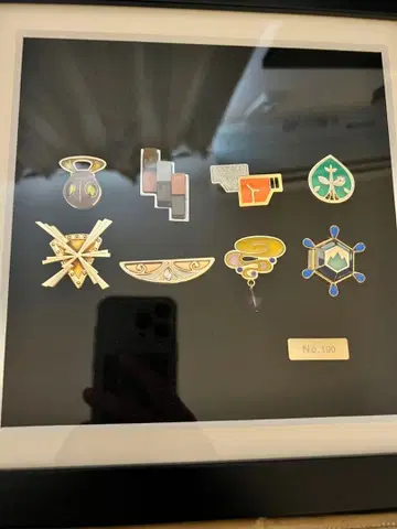 포켓몬 센터 수량 한정 넘버 배지 컬렉션 XY 카로스