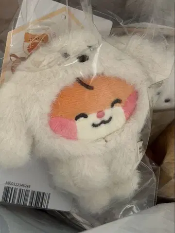 zeroni 비니니 마그넷 사진 홀더 zb1 비니니 한빈