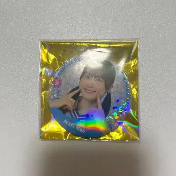 니부 아카리 히나타자카46 히나타 페스티벌 캔뱃지