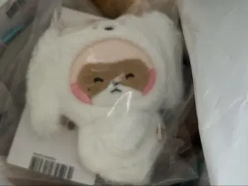 zeroni 비니니 마그넷 사진 홀더 zb1 하니니 하오