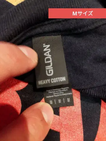 BAD RELIGION JAPAN 2017