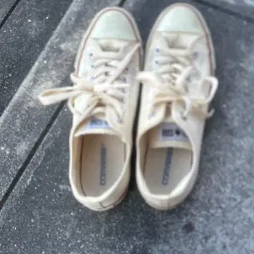 Converse Chuck Taylor All Star 크림색