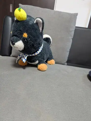 콩지로 봉제 인형 빅 사이즈