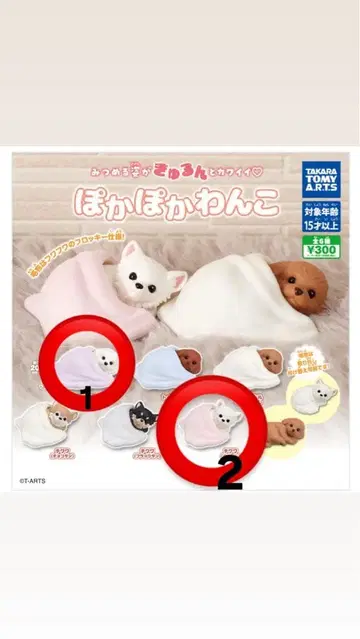 따뜻한 강아지 캡슐 토이