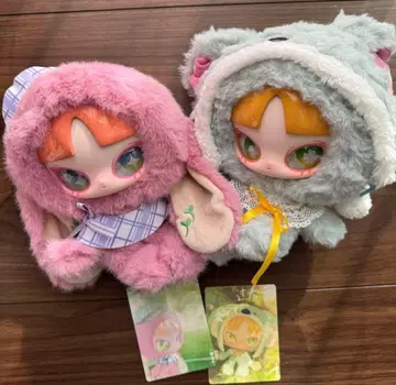 INNS 인즈 봄의 축전 시리즈