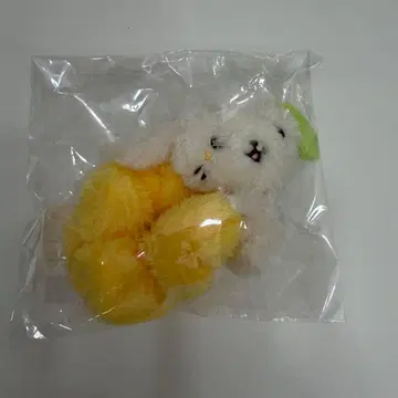 NCT WISH 료 헤어 슈슈