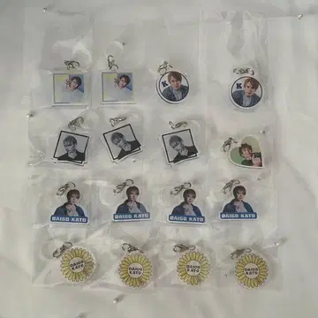 카토 다이고 BICOLOR 메지루시 참