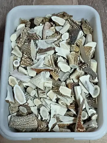 사슴 뿔 자투리 20kg 에조사슴 뿔