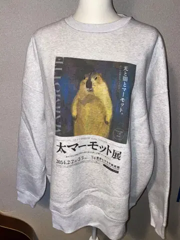 마모트 맨투맨 그레이 빅사이즈 XL