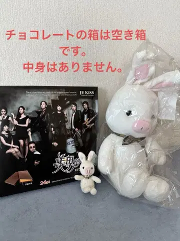 덤 포함 돼지토끼&레어 초콜릿 빈 상자