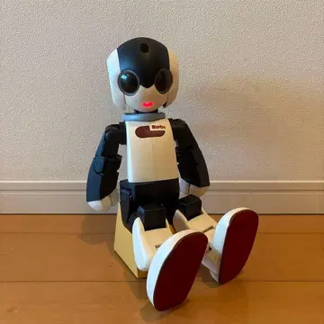 Robi 가동식 로봇 화이트/블랙