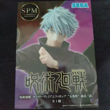 주술회전 고죠 사토루 허식 [자]