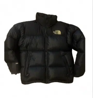 THE NORTH FACE 눕시 다운 자켓 구멍 있음