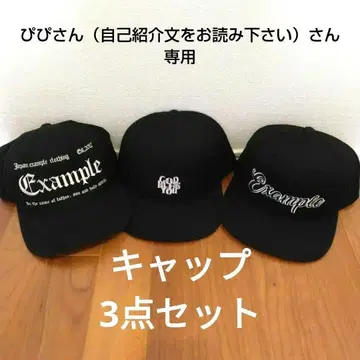 EXAMPLE SNAPBACK CAP 베이스볼 캡 3점 세트