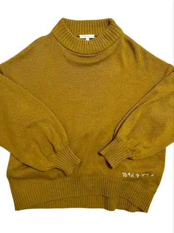 아네스베 하이넥 니트 스웨터 긴팔